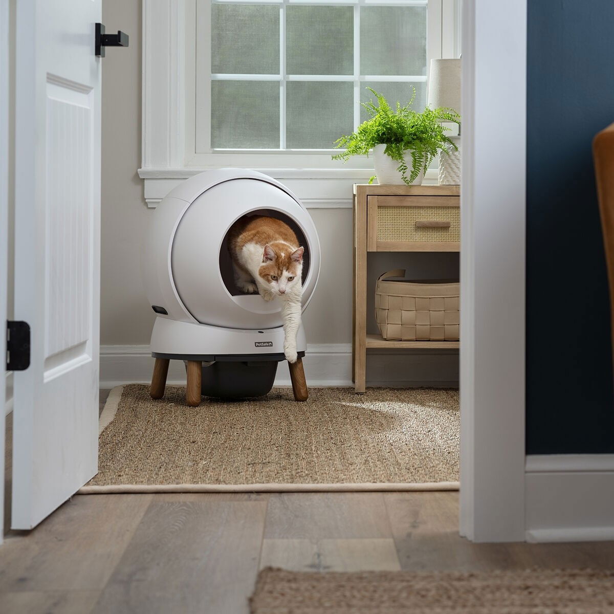 PetSafe SmartSpin Self-Cleaning Litter Box