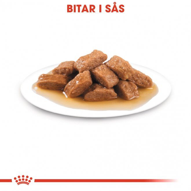 Royal Canin Medium Adult Gravy våtfoder för hund