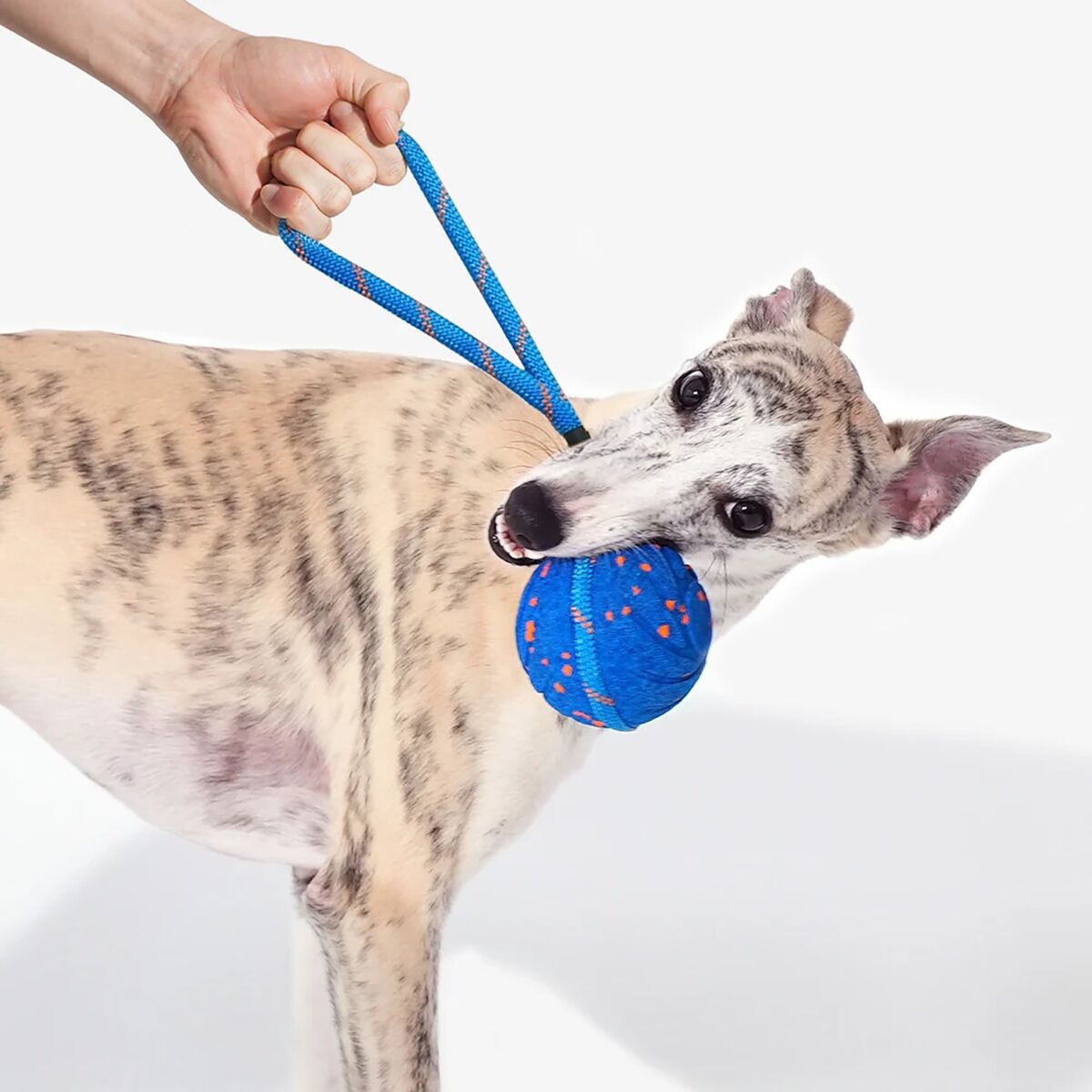 Cheerble Wicked Ball Air Rope Blue