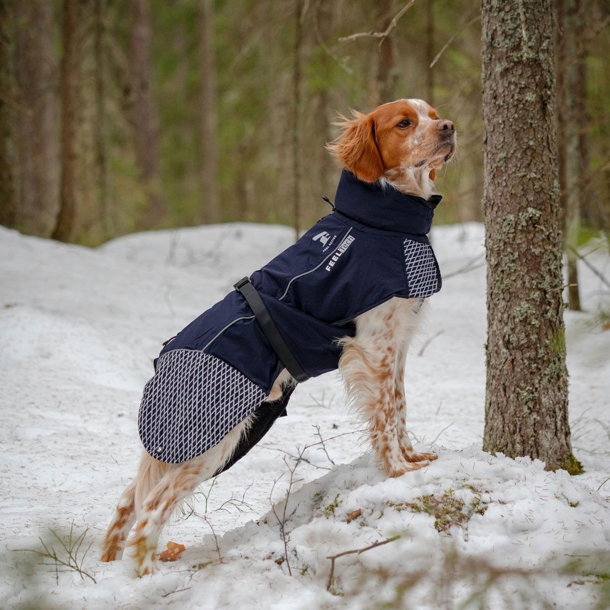 Feel Active Glacier winter parka