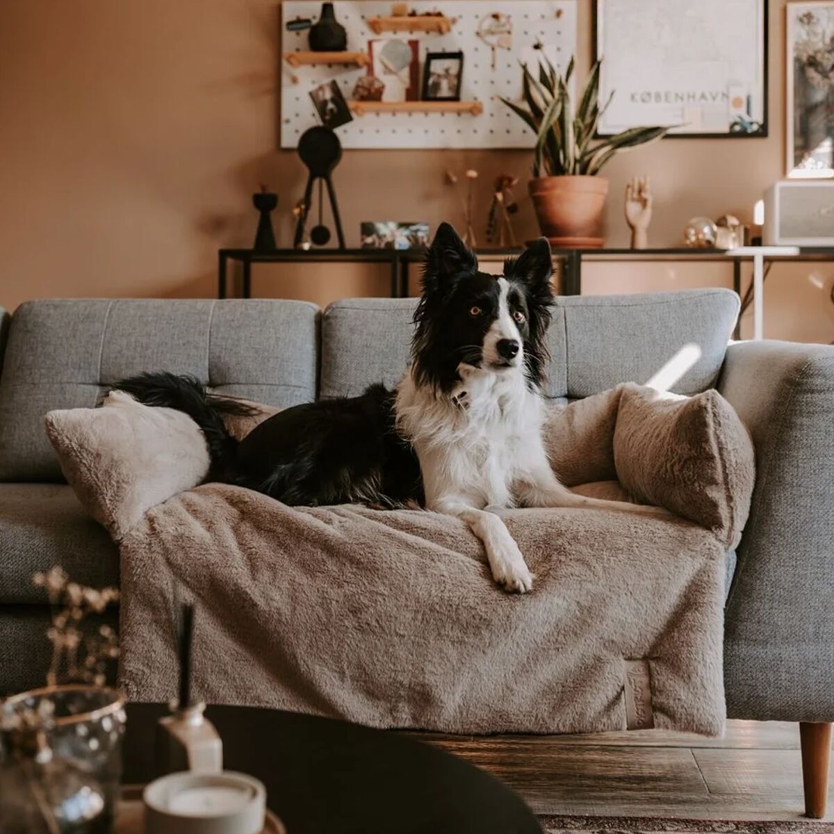 District 70 Nuzzle Hundsäng till Soffa Beige