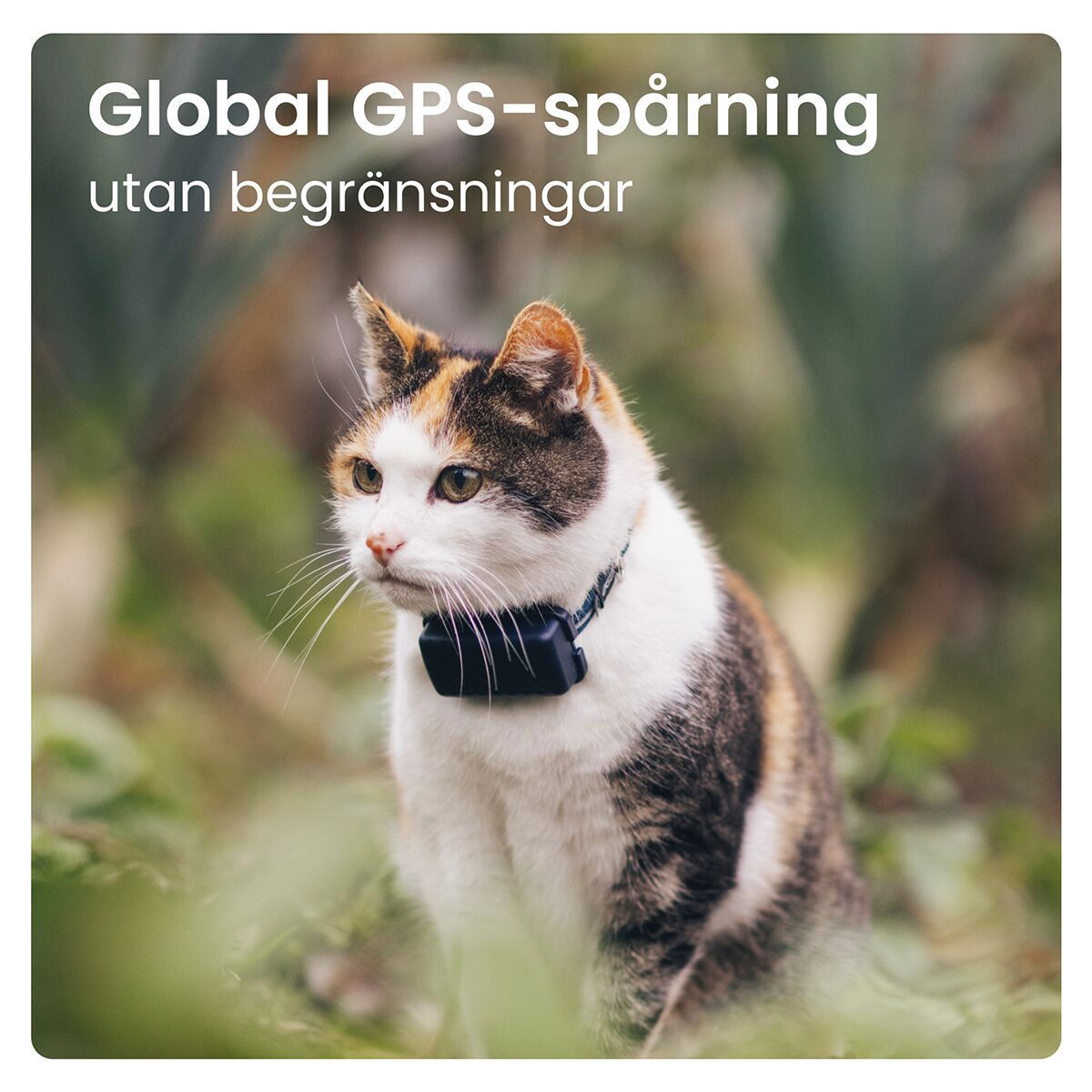Tractive GPS CAT Mini