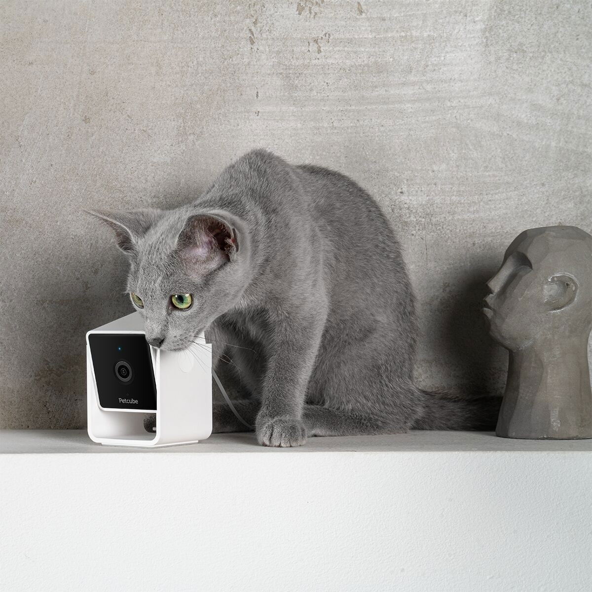 Petcube video camera 1080p HD 2 way audio