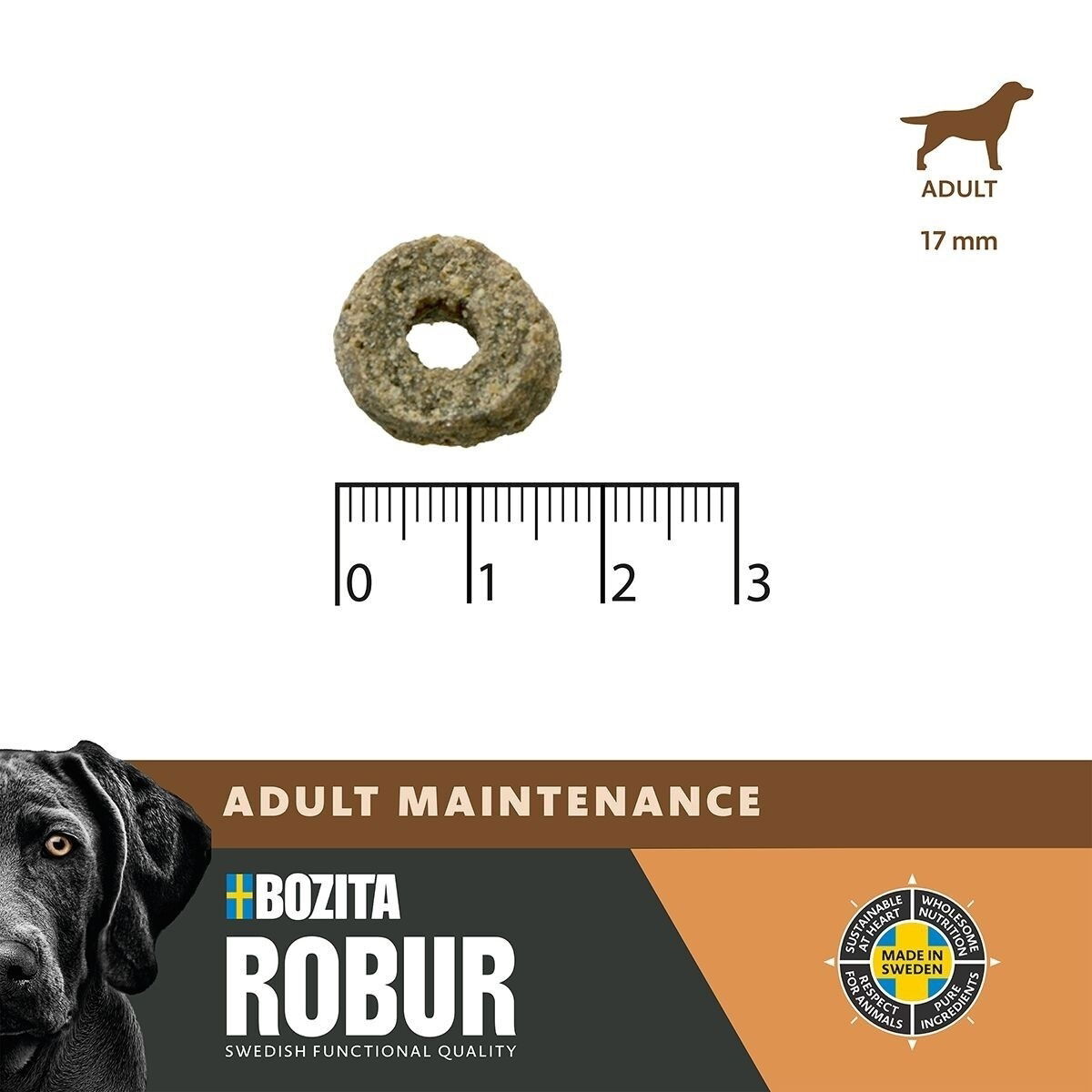 Robur Adult Maintenance