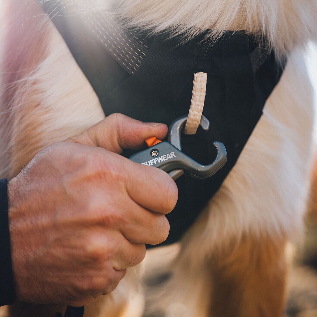 Ruffwear Ridgeline Harness Obsidian Black