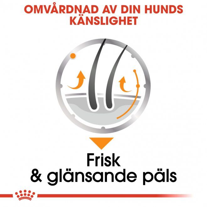 Royal Canin Coat Care Adult våtfoder för hund