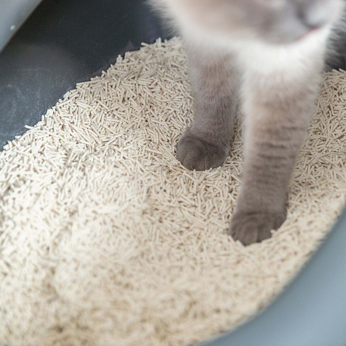Trixie Tofu clumping cat litter