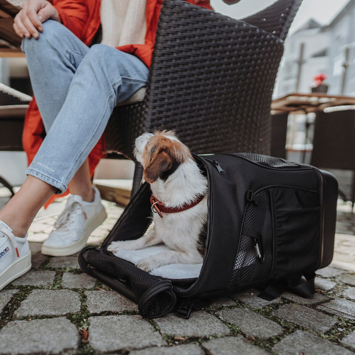 Hunter Dog Flight Bag and Backpack Miles Black