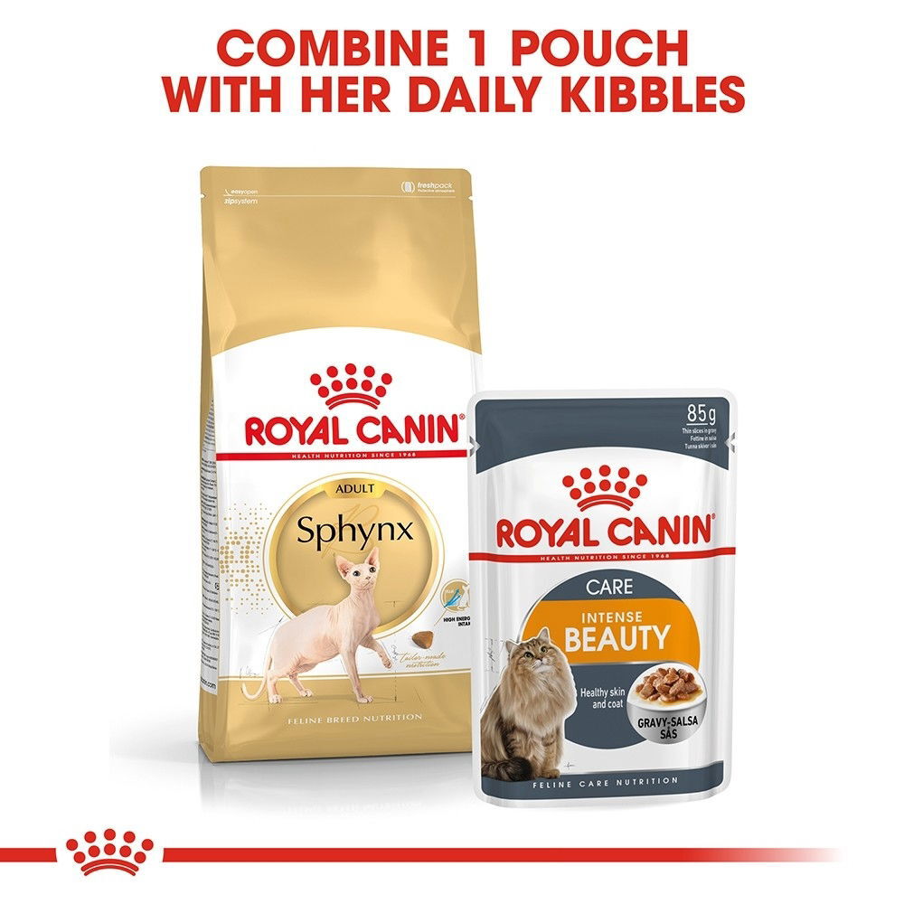 Royal Canin Sphynx Adult torrfoder för katt