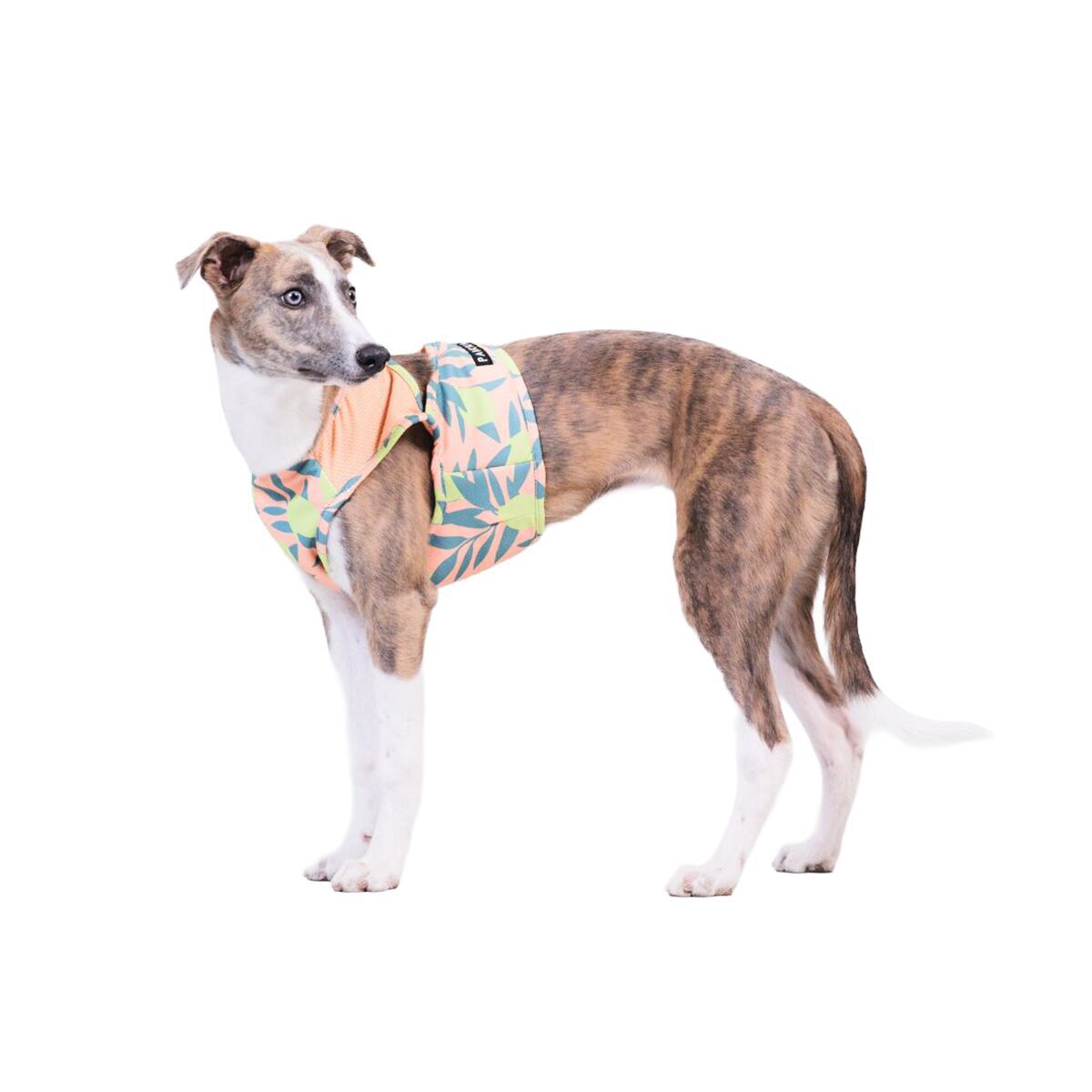 PAIKKA Cool Vest Lemon peach