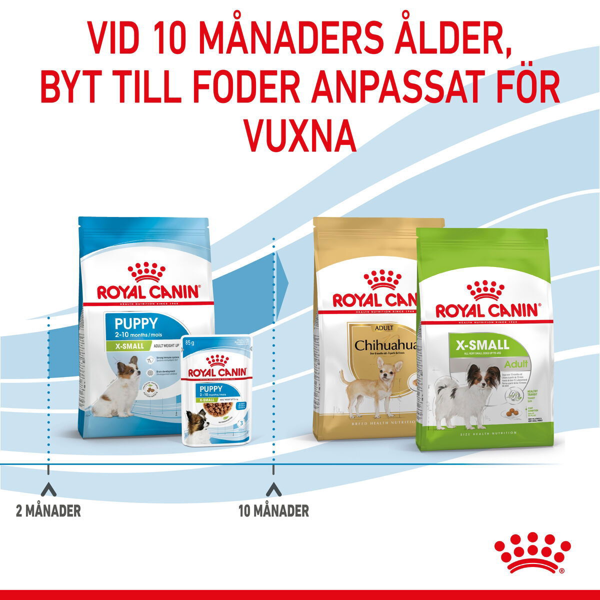 Royal Canin X-small Puppy torrfoder för hundvalp