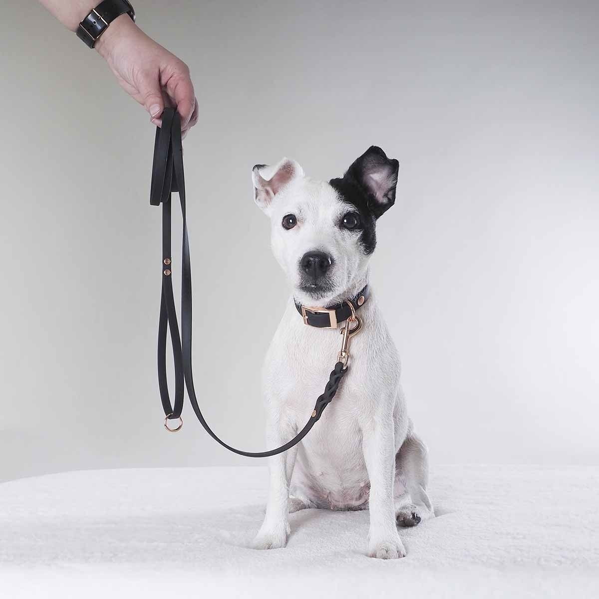 Tyylivoitto Braid leash, black