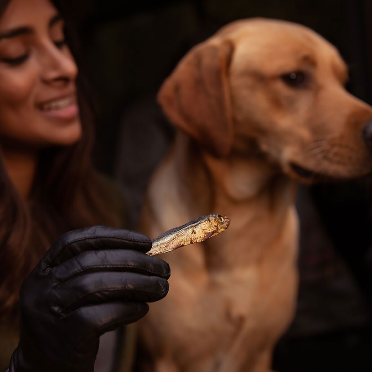 ESSENTIAL Tiny Fish Delights 90g