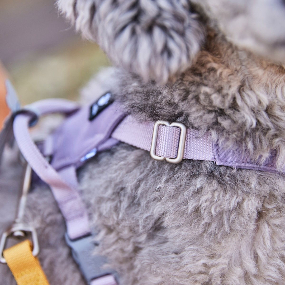 Hurtta Seeker harness lavender