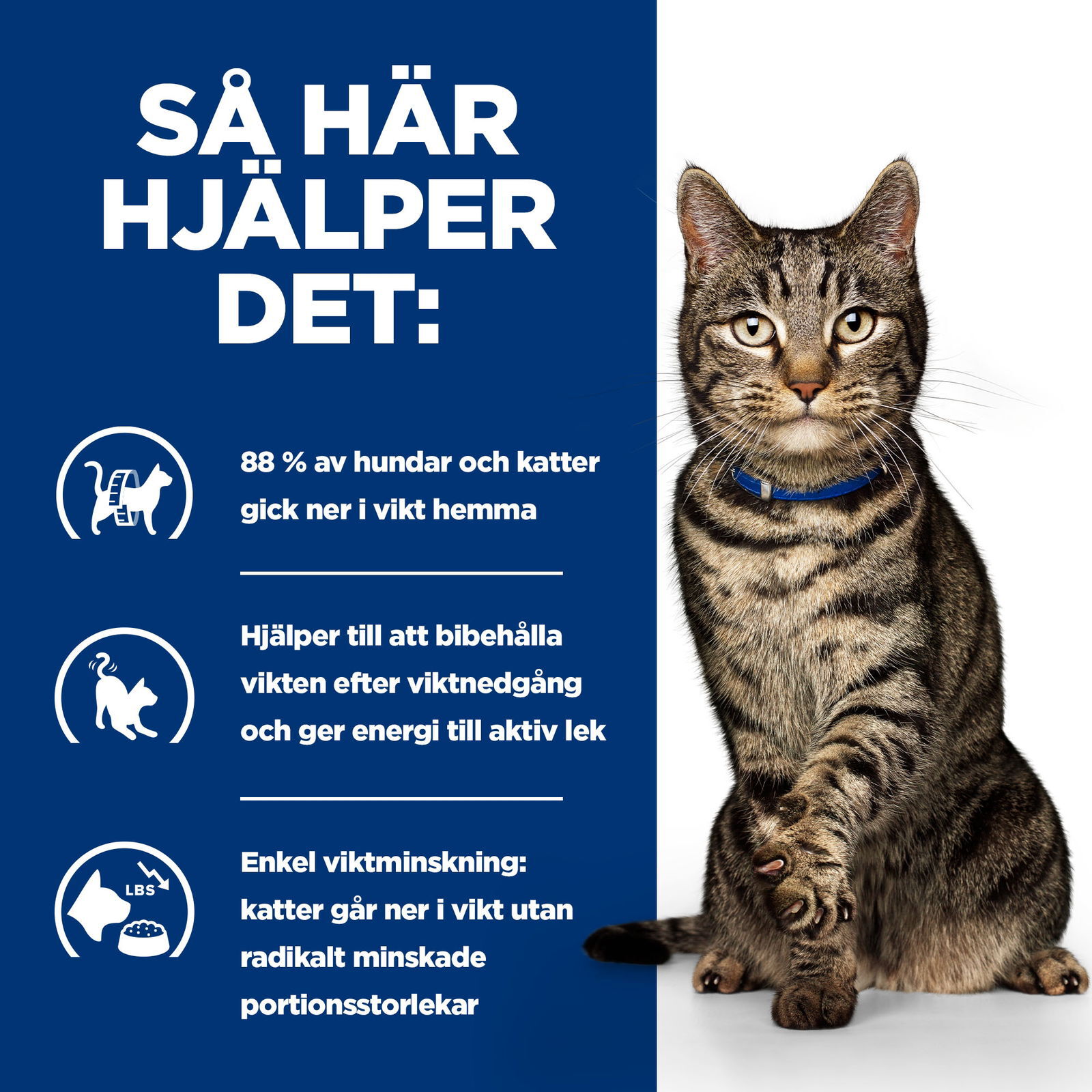 Hills Diet Cat Metabolic Portionspåse 12x85g