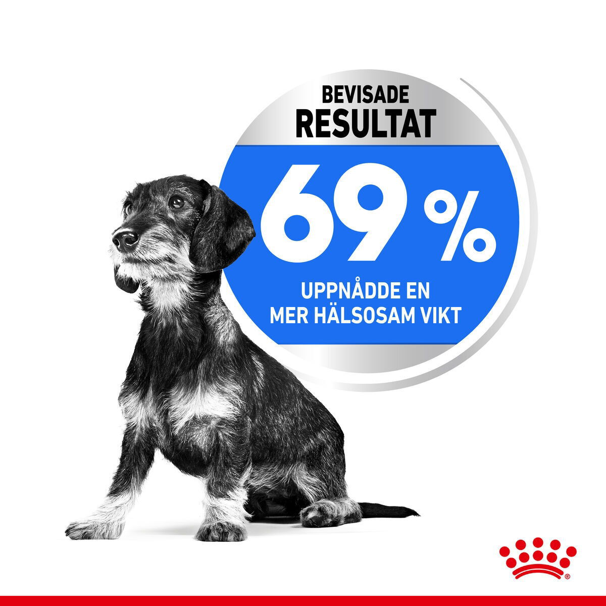 Royal Canin Light Weight Care X-small Adult torrfoder för hund