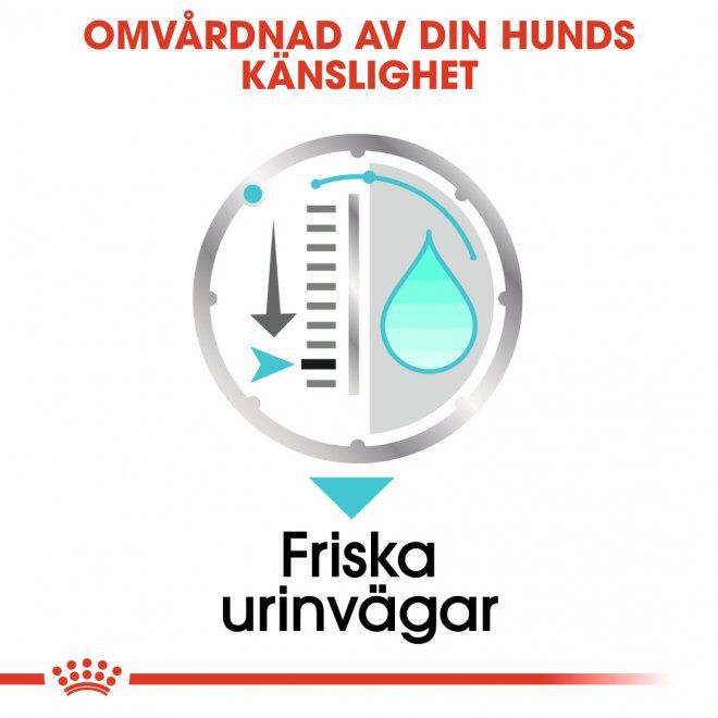 Royal Canin Urinary Care Adult Loaf våtfoder för hund