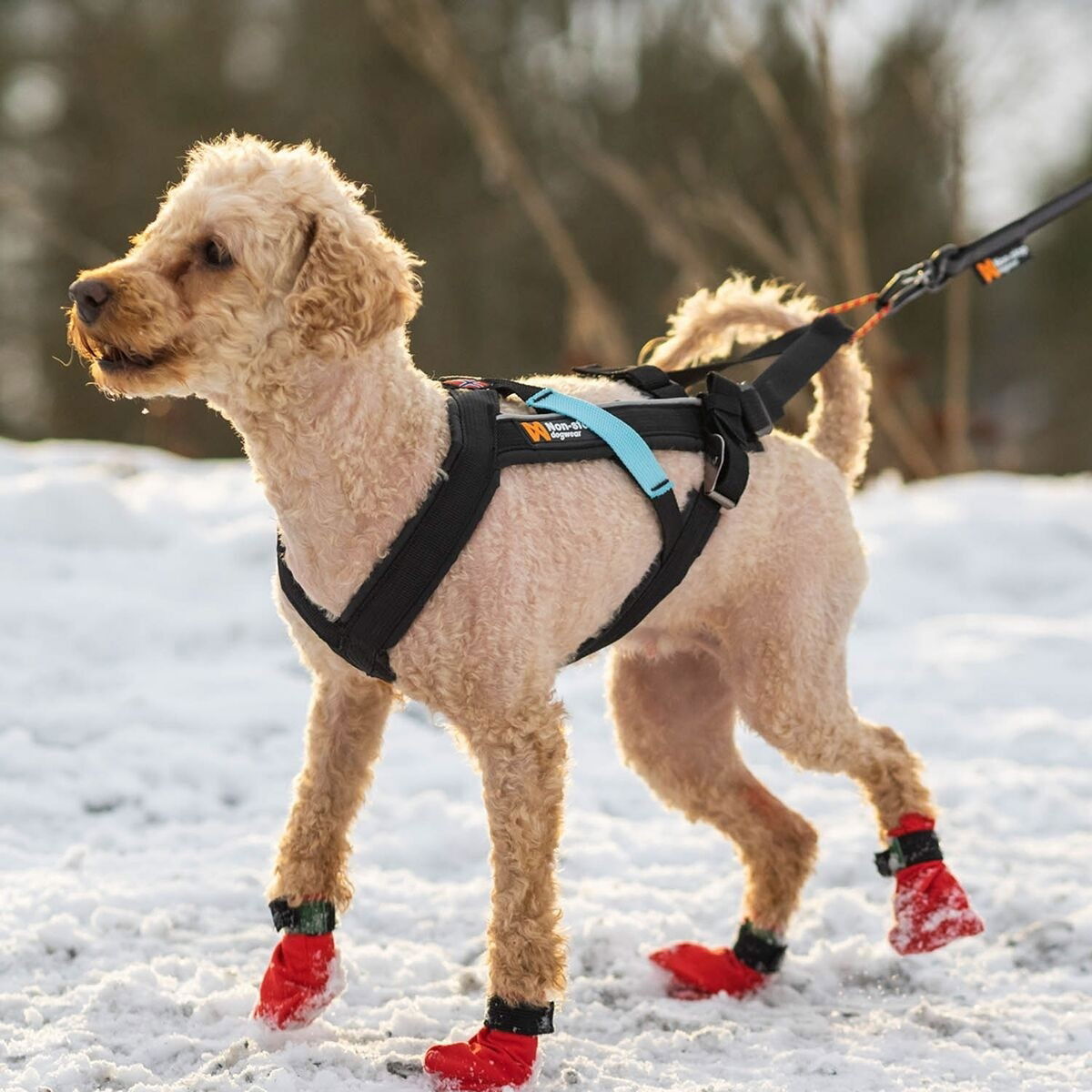 Non-stop Freemotion Dragsele 