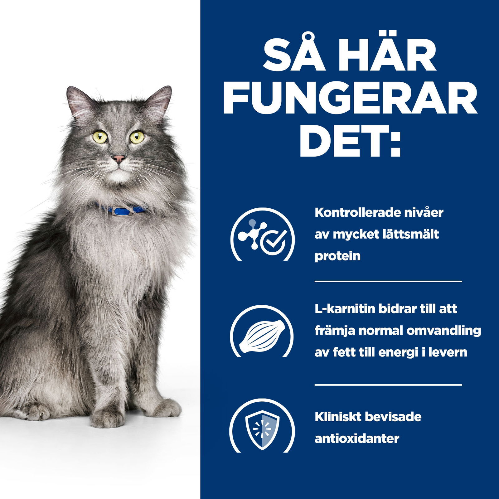 Hills Diet Cat l/d 1,5kg