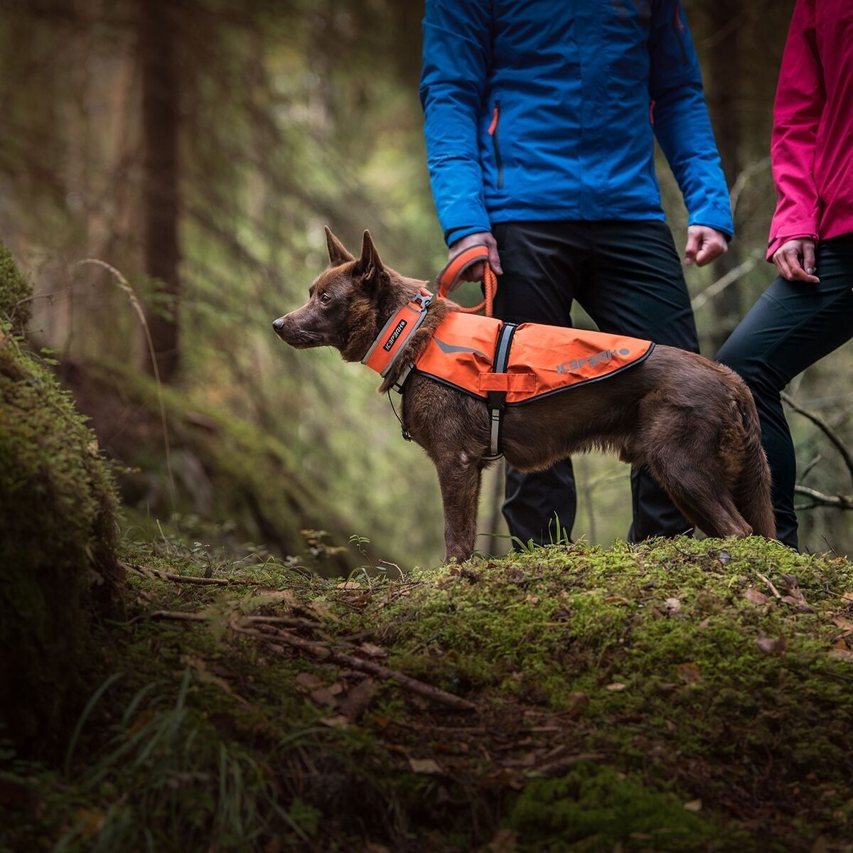 Icepeak Prozone reflect vest