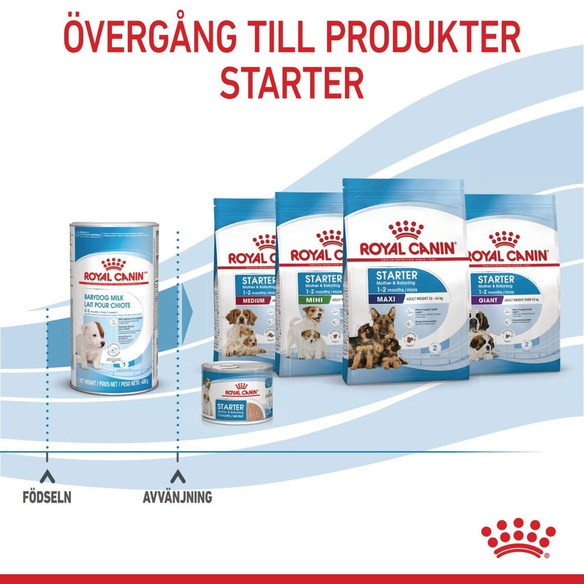 Royal Canin Babydog Milk mjölk för hundvalp