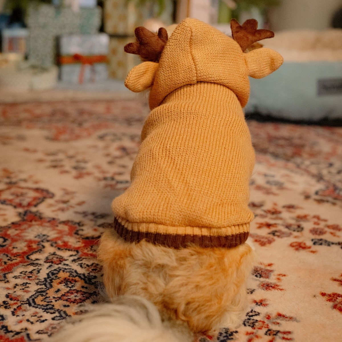 Little&Bigger Reindeer knit hoodie brown