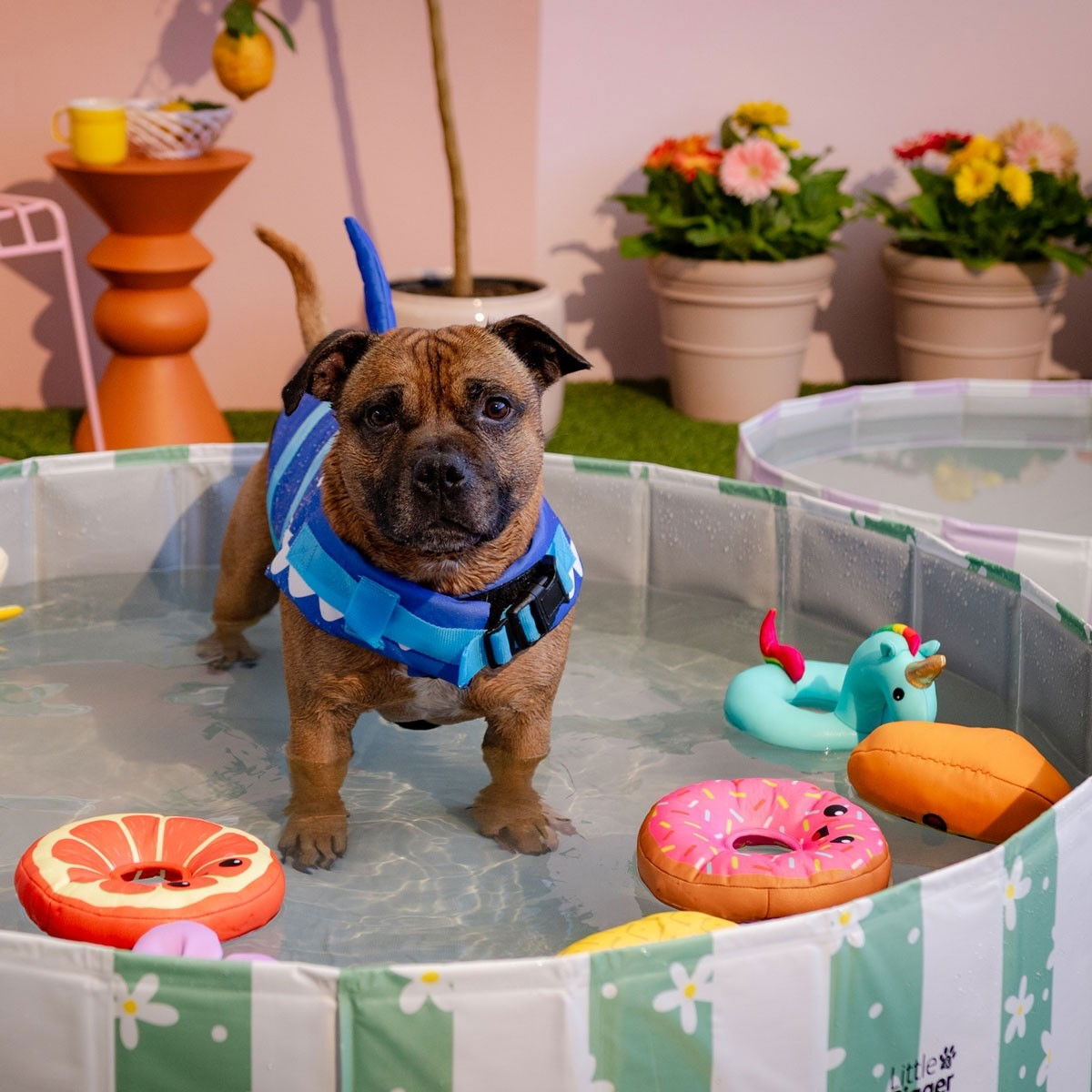 Little&Bigger HotSummer pool daisy green 120 cm