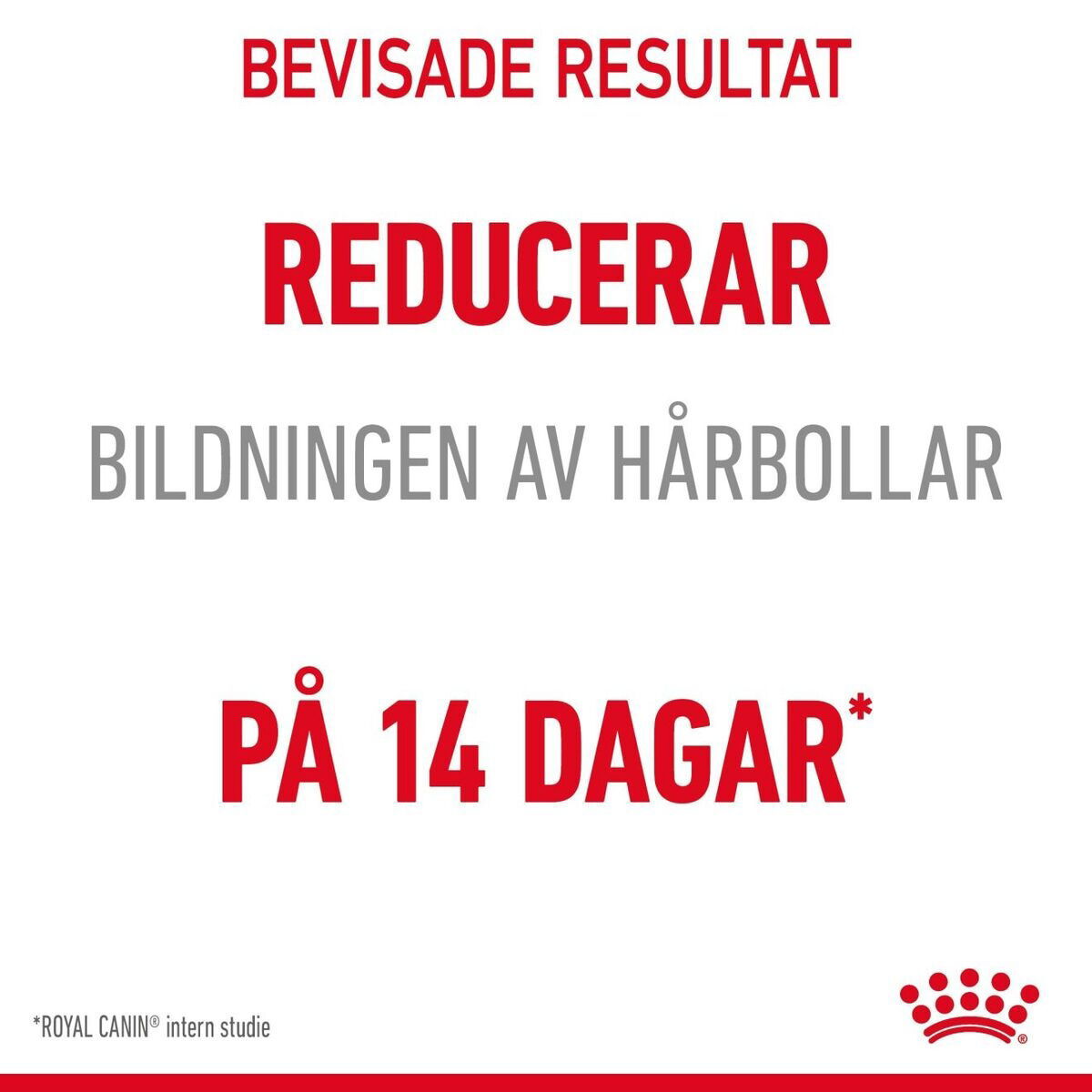Royal Canin Hairball Care Adult torrfoder för katt