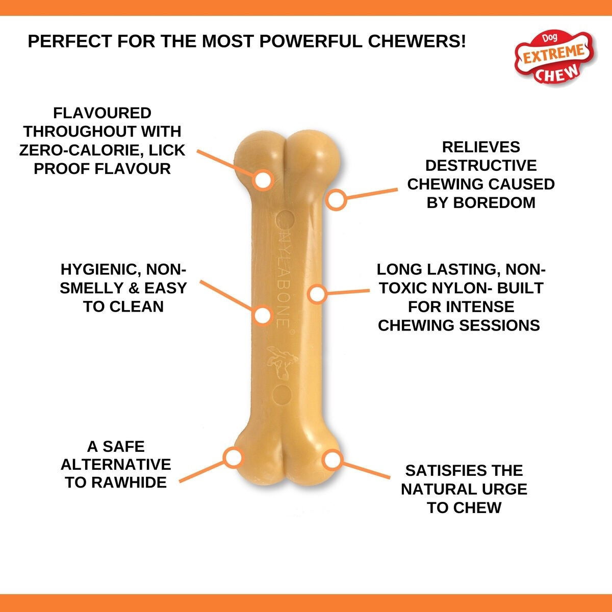 Nylabone Dura Chew Bacon M