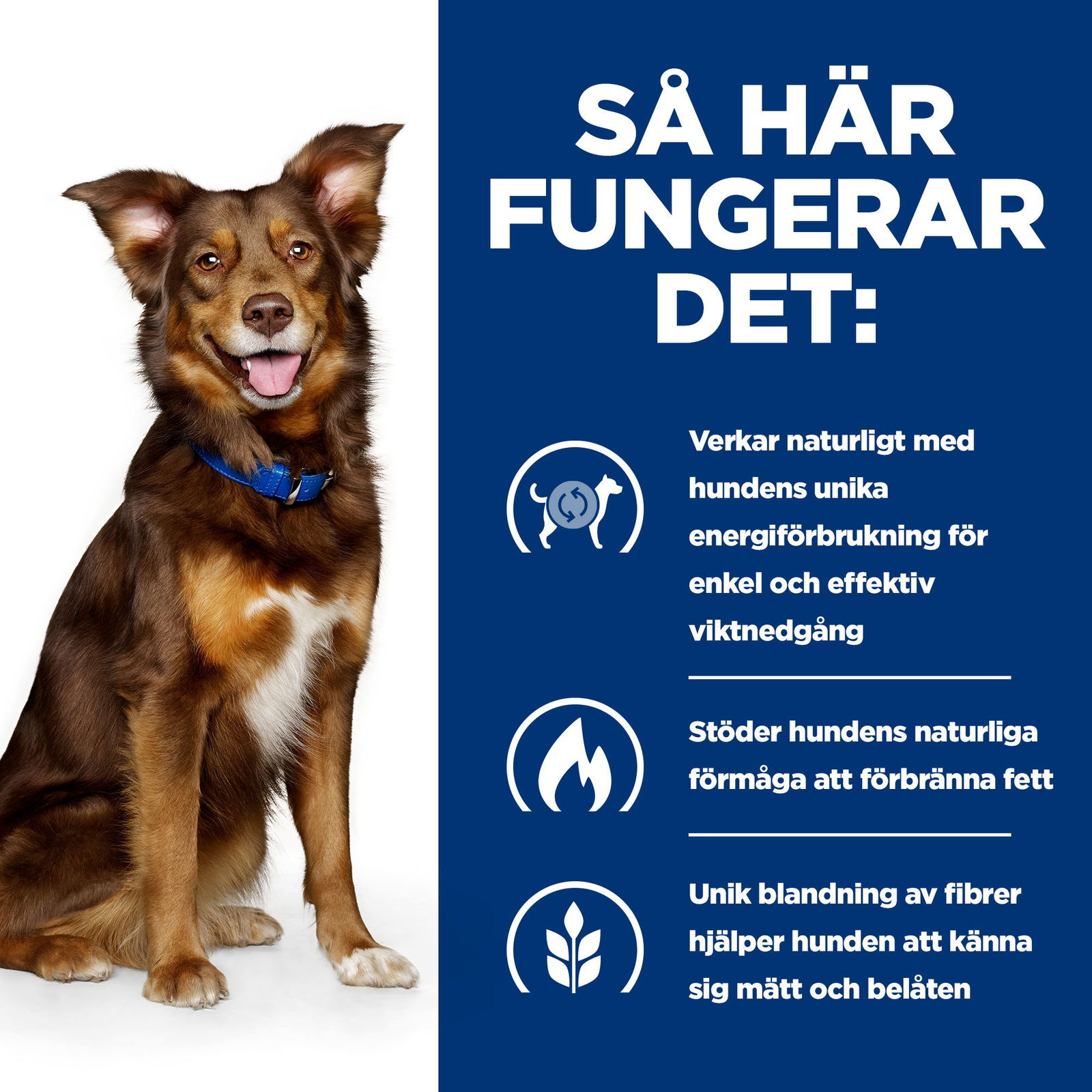 Hills Diet Dog Metabolic 1,5kg