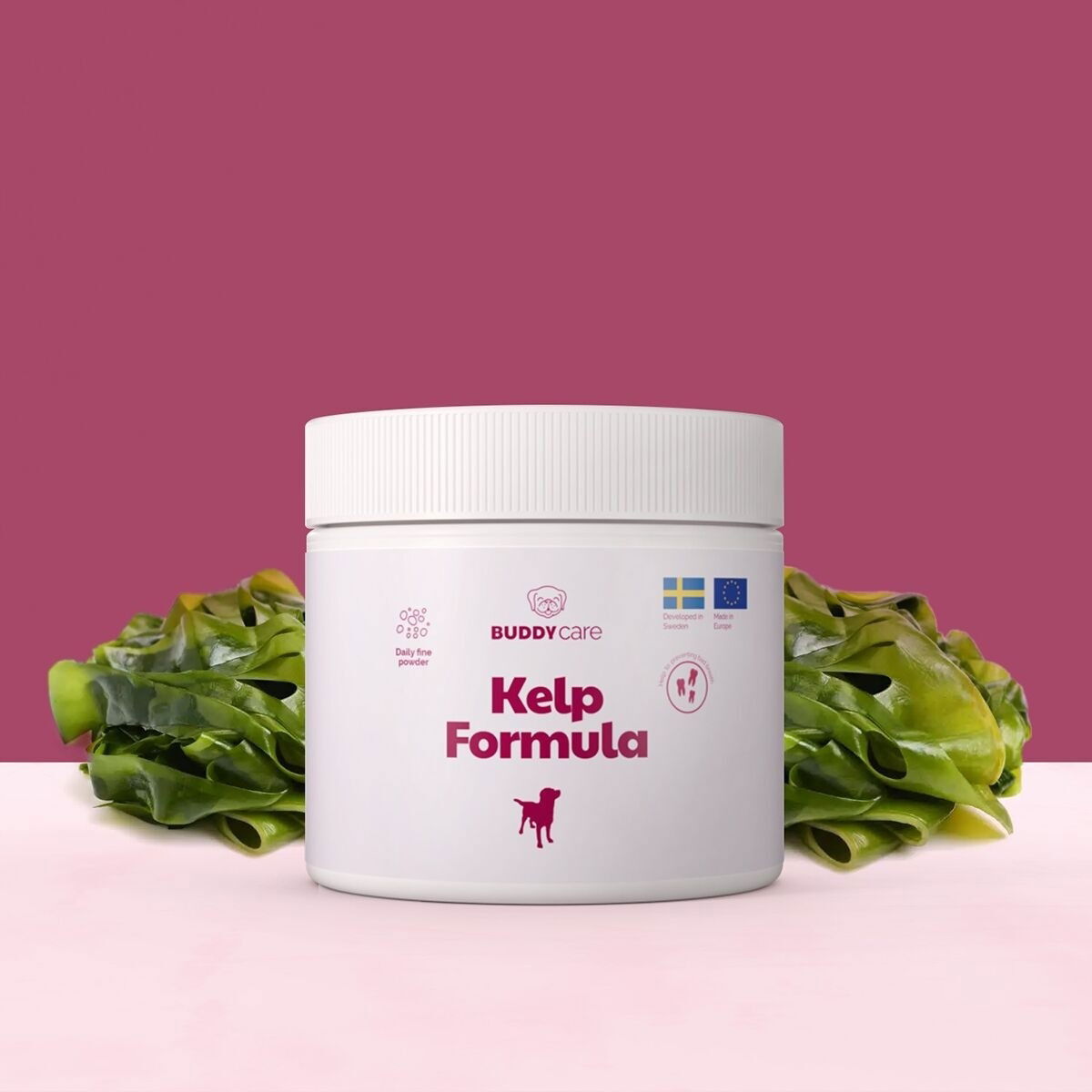 BuddyCare Kelp Formula 250g