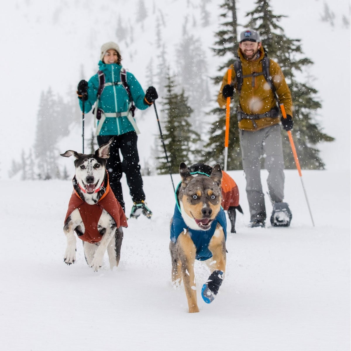 Ruffwear Vert Jacka Aurora Teal