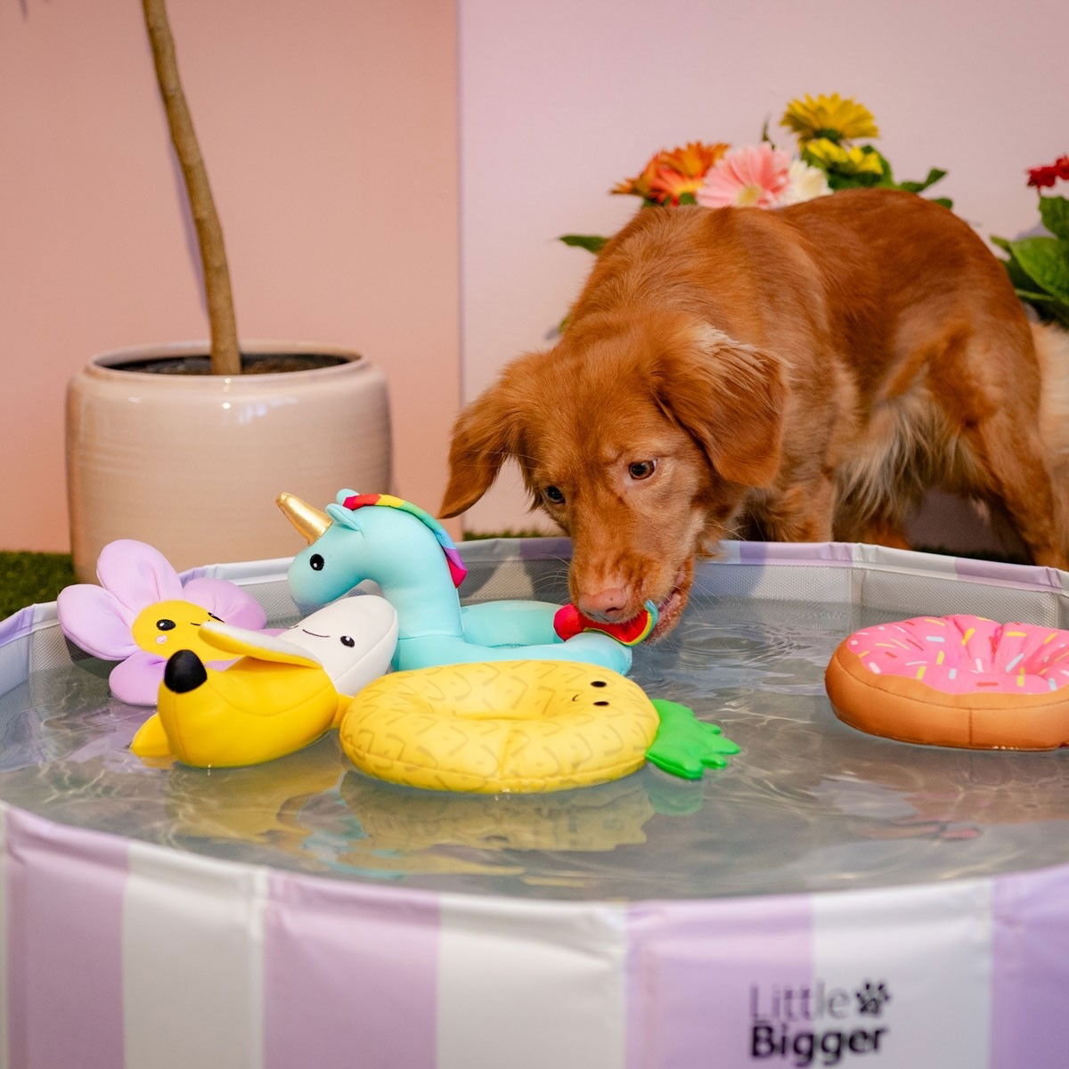 Little&Bigger HotSummer pool stripes lilac 80 cm