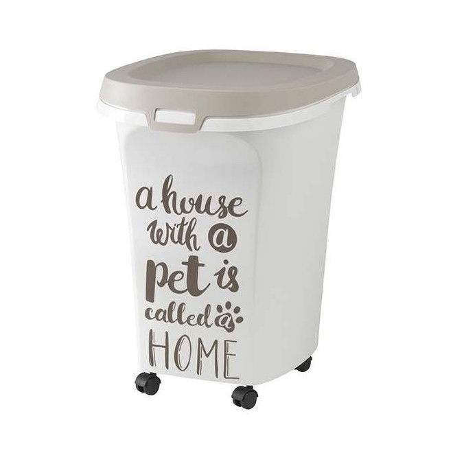 Moderna Trendy Story 