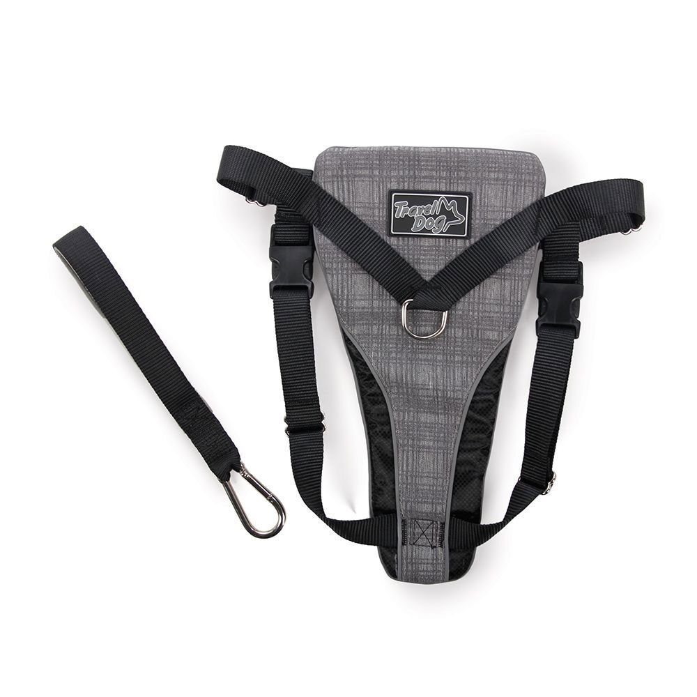 All For Paws Dog Bilsele