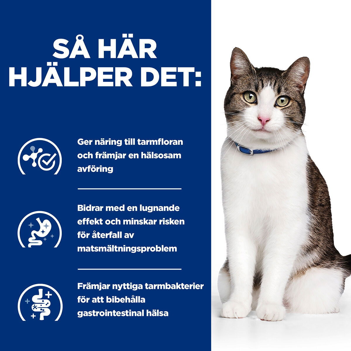 Hill's Prescription Diet Gastrointestinal Biome Stress Stew Chicken & veg 82g