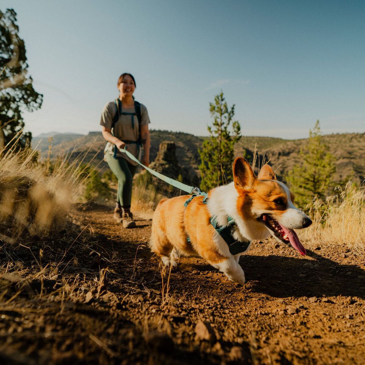 Ruffwear Front Range Flex Leash