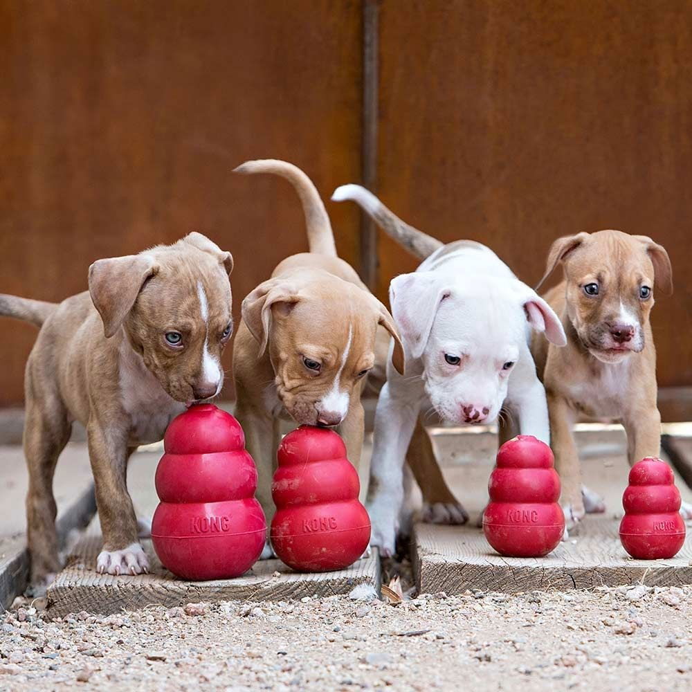KONG Classic Röd