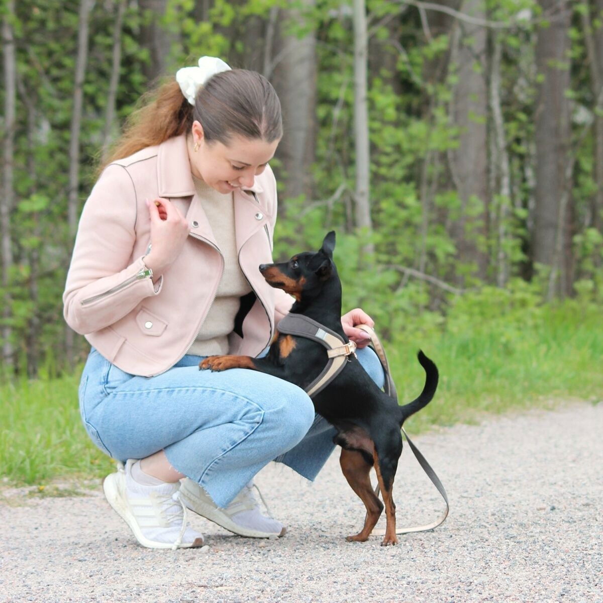 Rogz Urban Fast-Fit harness, gold