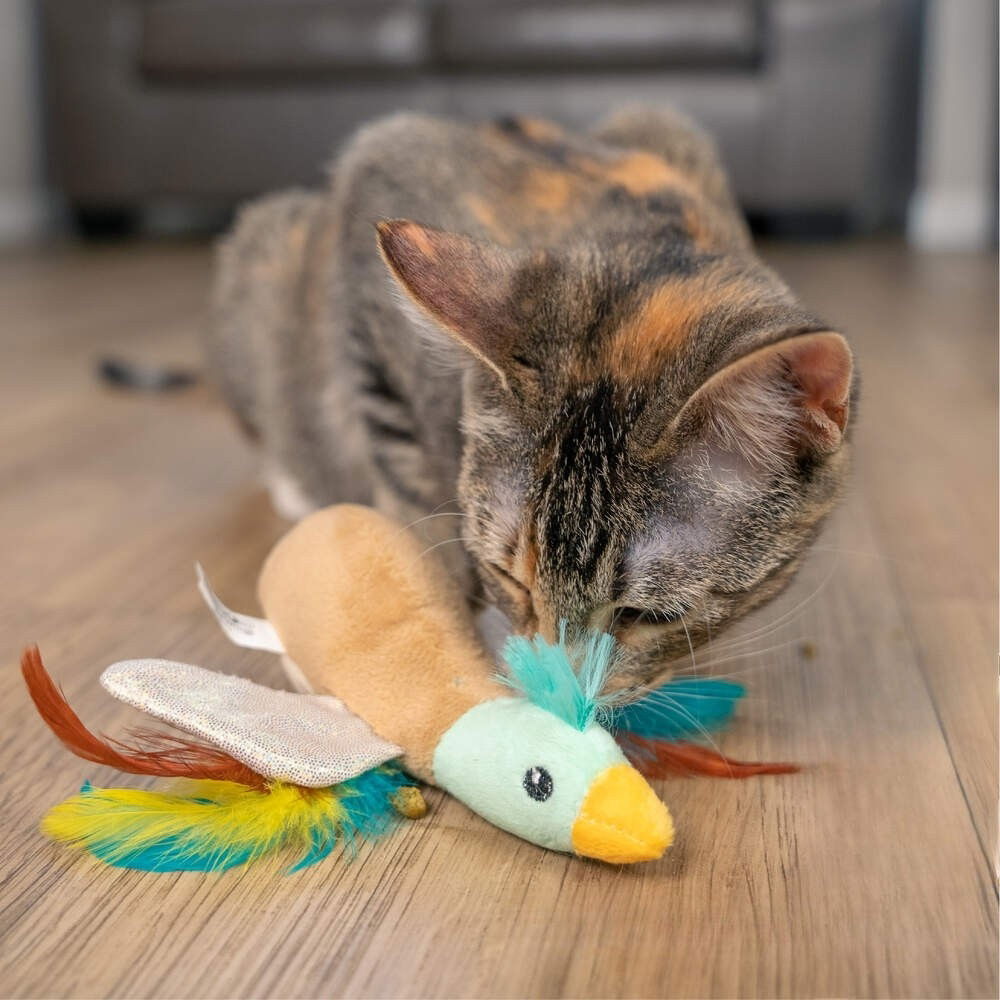 Catstages Flapperz Duck 