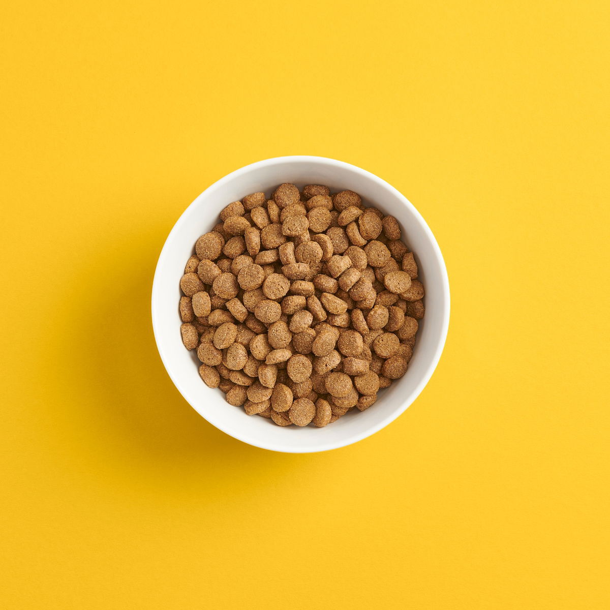 Smaak Dog Adult Chicken