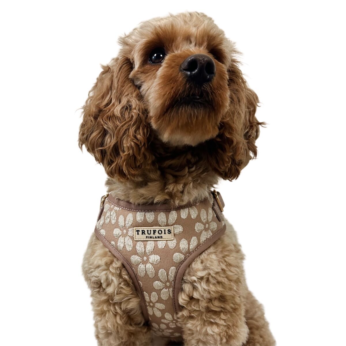 Trufois Lite Harness Chai