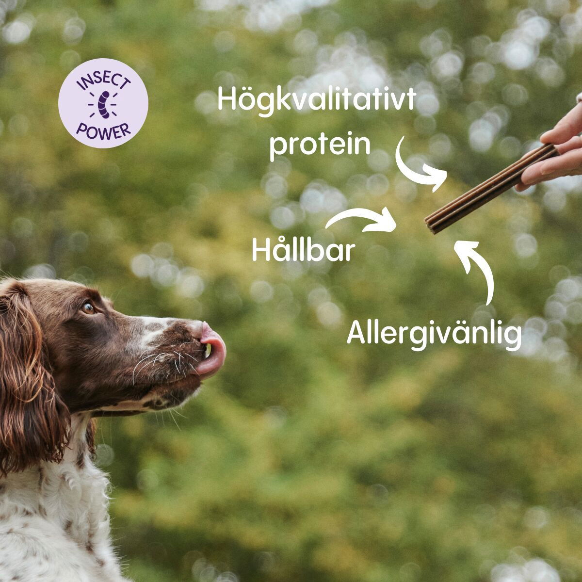 Petgood dental sticks with insect protein