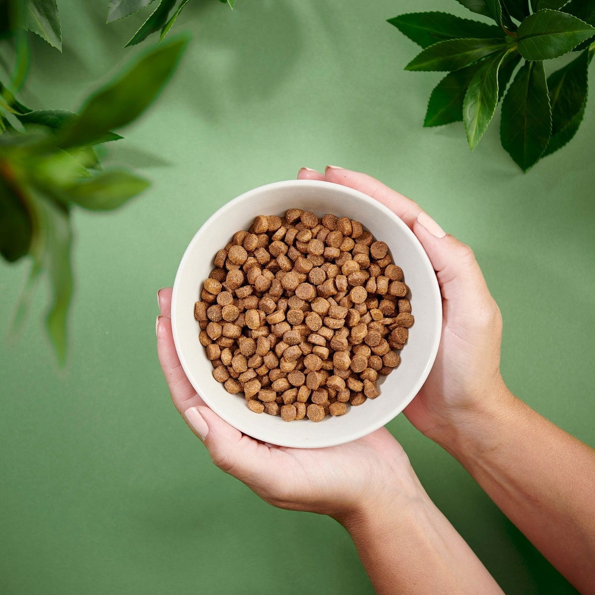 Purenatural Dog Puppy