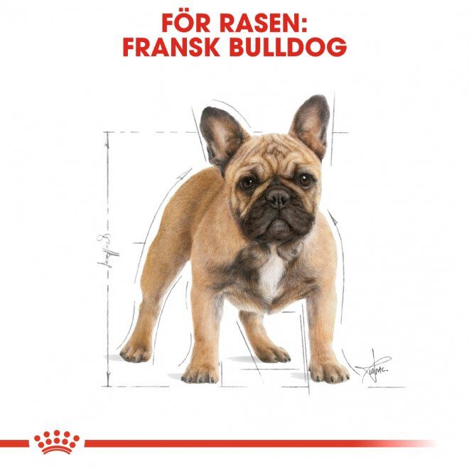 Royal Canin French Bulldog Adult torrfoder för hund