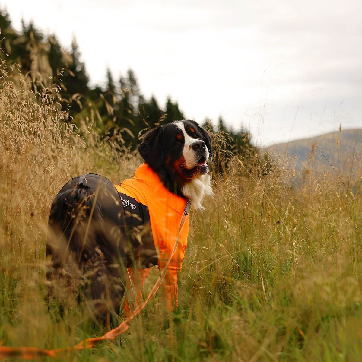 Non-stop dogwear Protector suit M orange/black