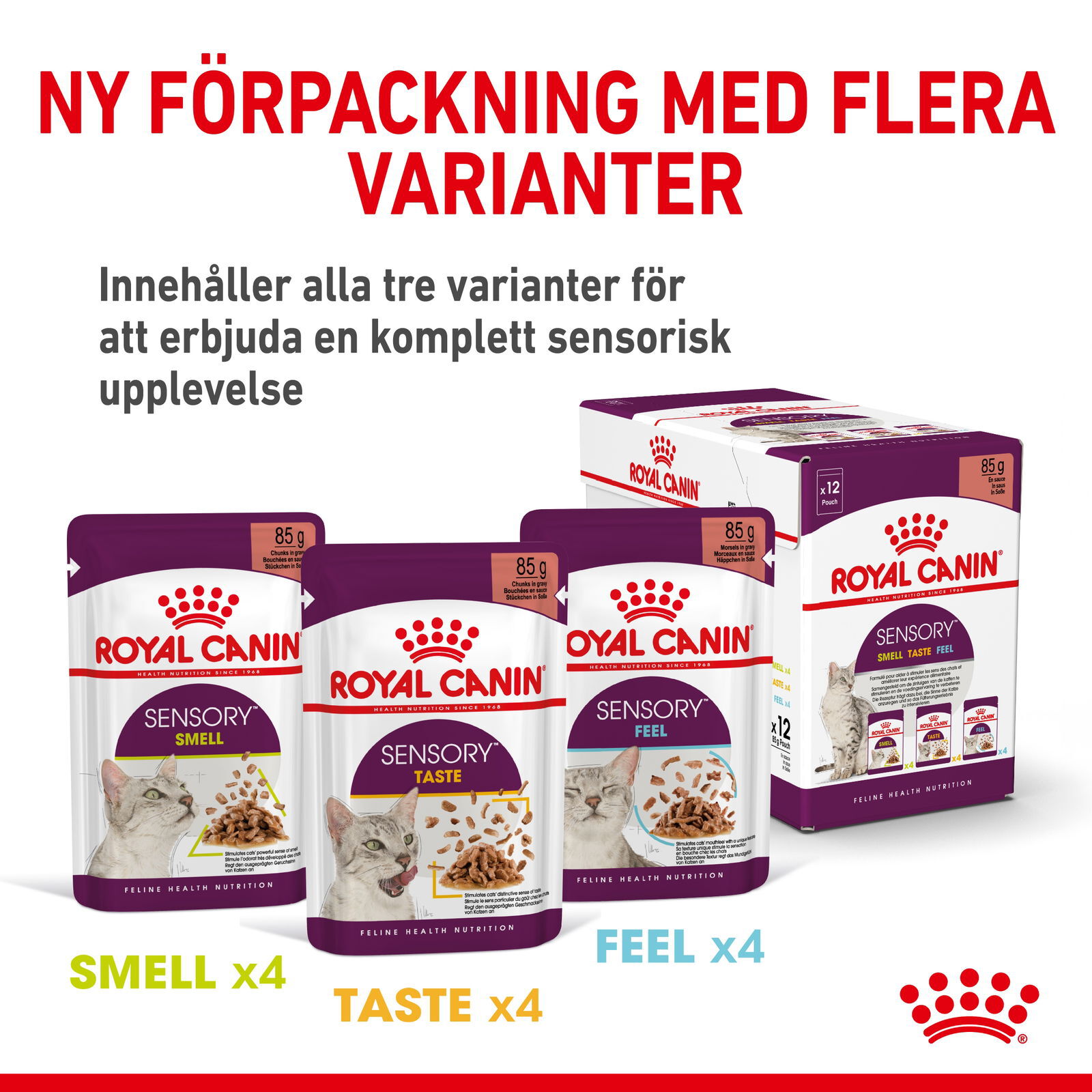 Royal Canin Sensory Mixed Box Gravy Adult våtfoder för katt