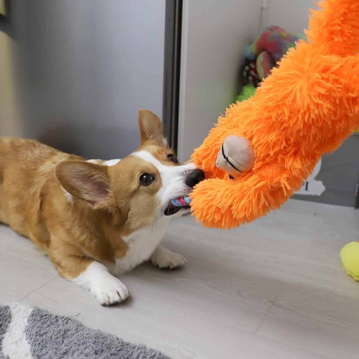 KONG Tuggz™ Monkey XL