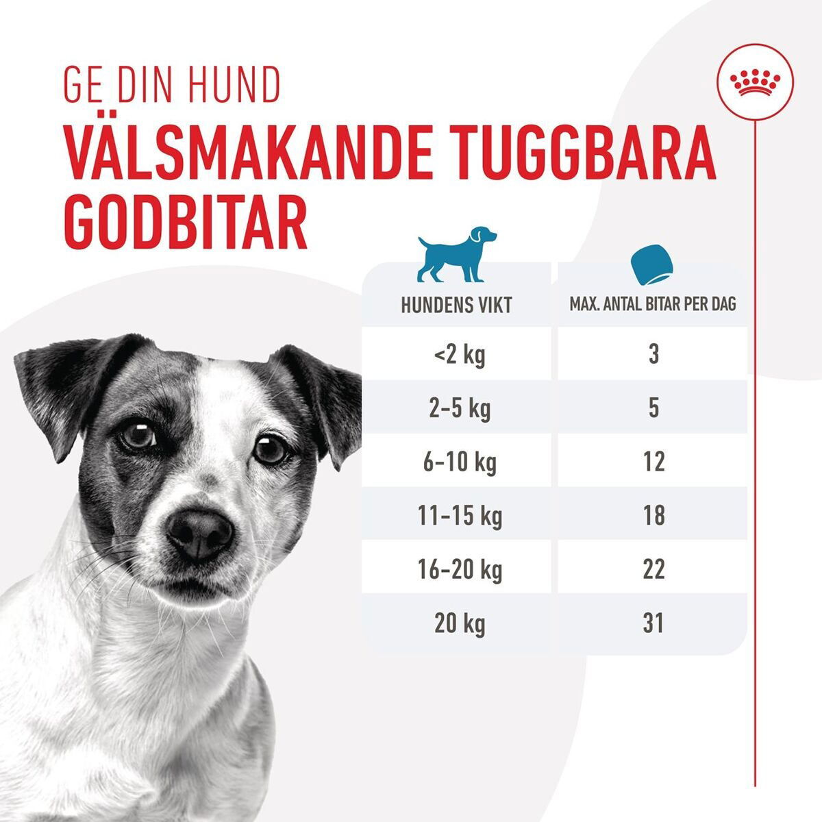 Royal Canin Dog Training Treats 110g