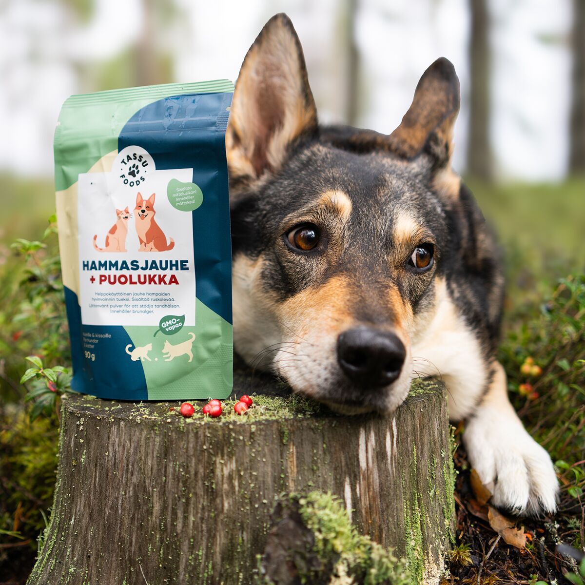 Tassu Foods Tandpulver + Lingon för Hund & Katt 90 g